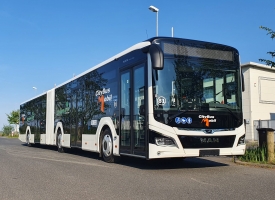 bus2.jpg