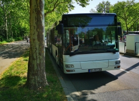 citybus-mobil-15.jpg